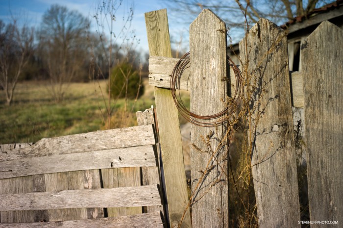 ZEISS ZM 35 C-Biogon Sample on Leica M9 at 2.8