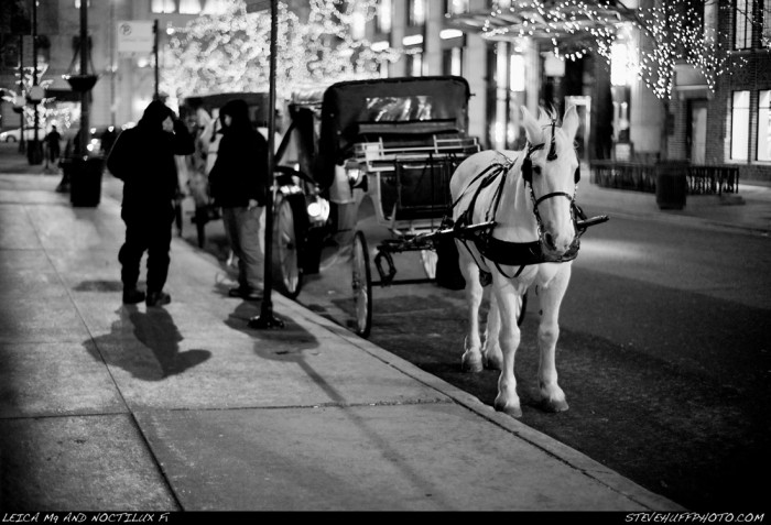 horsebuggy