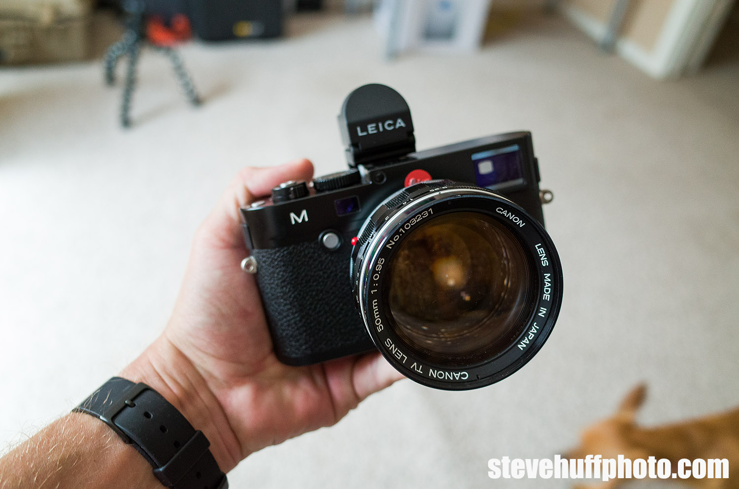 The Canon 50mm f/0.95 Dream Lens Review by Steve Huff | Steve Huff