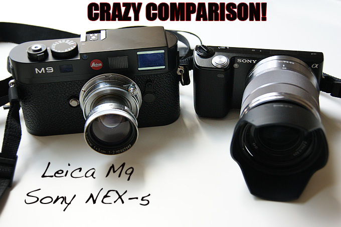 leica-vs-sony