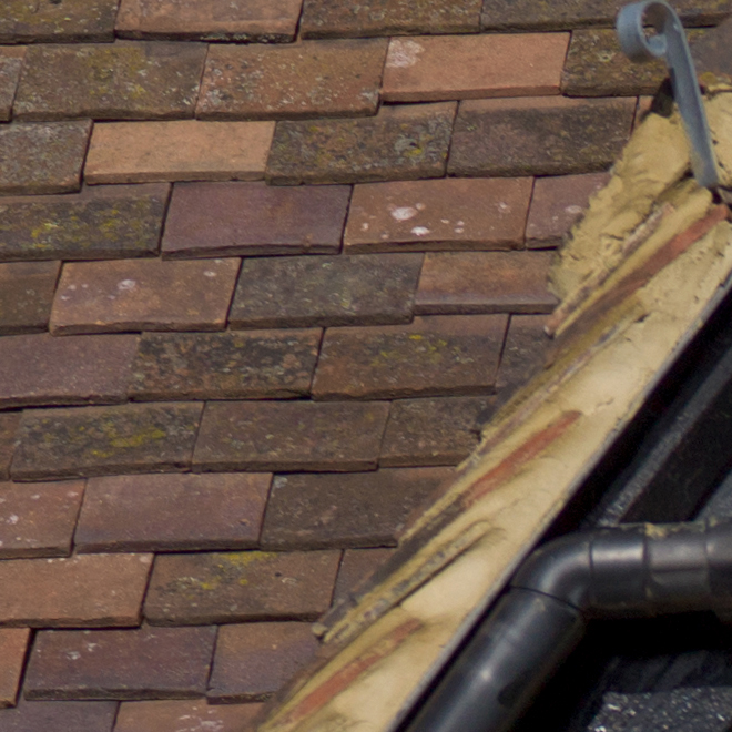 L1000769 Cottage Pargetting Top Left Detail 100 pct Unsharpened