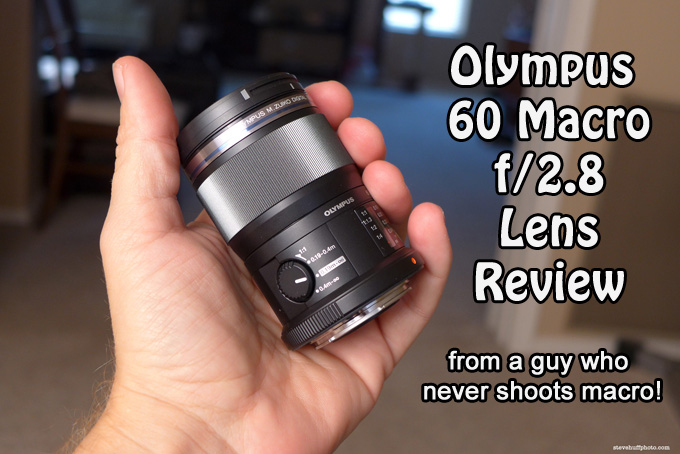 gemakkelijk Decoratief Paine Gillic The Olympus ED 60mm f/2.8 Macro Lens Review for Micro 4/3 from a guy who  never shoots macro! | Steve Huff Hi-Fi and Photo