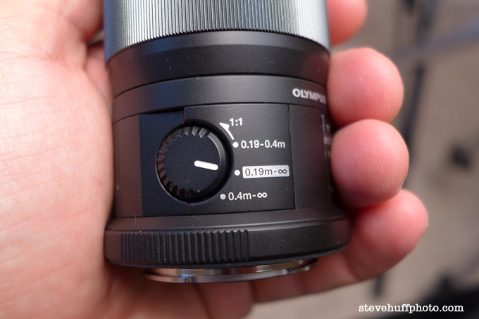 The Olympus ED 60mm f/2.8 Macro Lens Review for Micro 4/3 from a