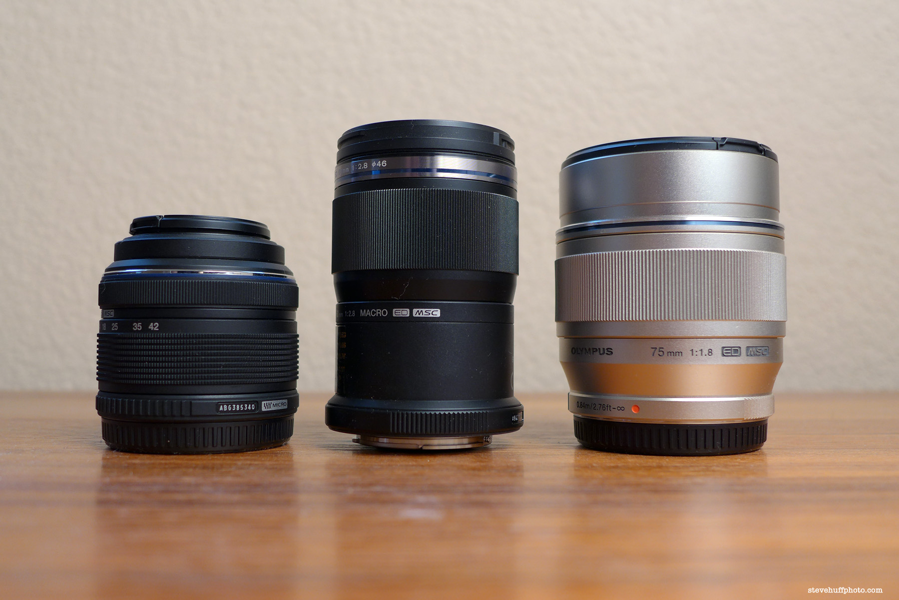 The Olympus ED 60mm f/2.8 Macro Lens Review for Micro 4/3 from a 