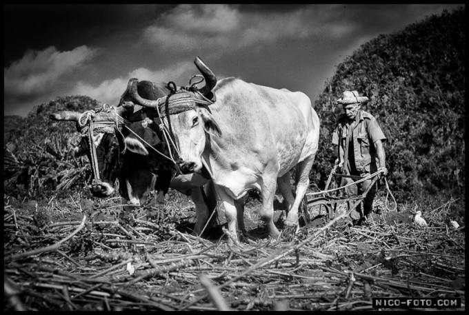 Viñales, Cuba - 12/2011