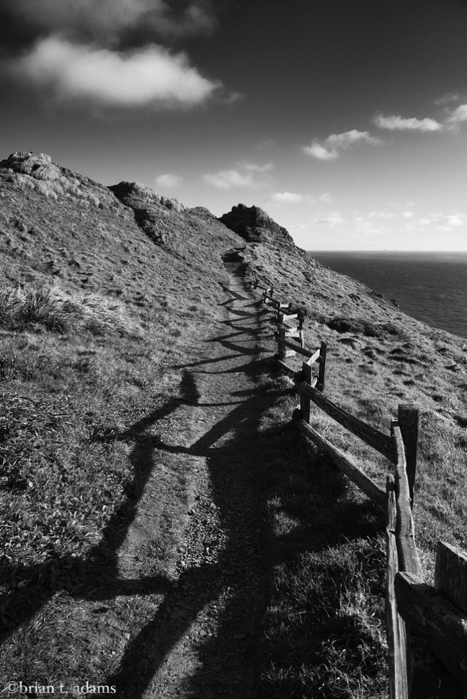 point.reyes.fence.2.web