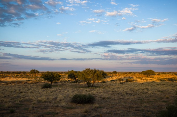 1 Kalahari desert M9 Summilux 35