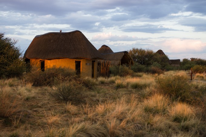 2 Kalahari desert M9 Summilux 50