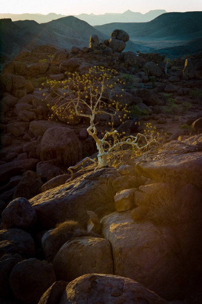 20 Damaraland M9 Summilux 75