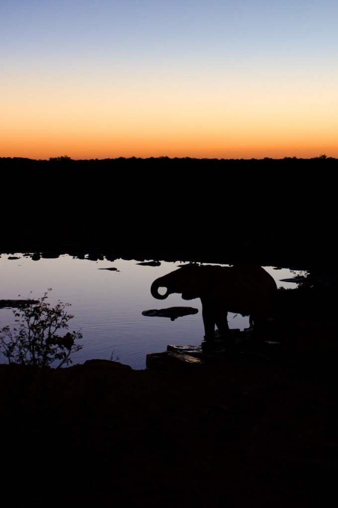 21 Etosha NP M9 Summilux 50