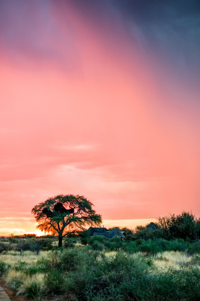 3 Kalahari desert M9 Summilux 50