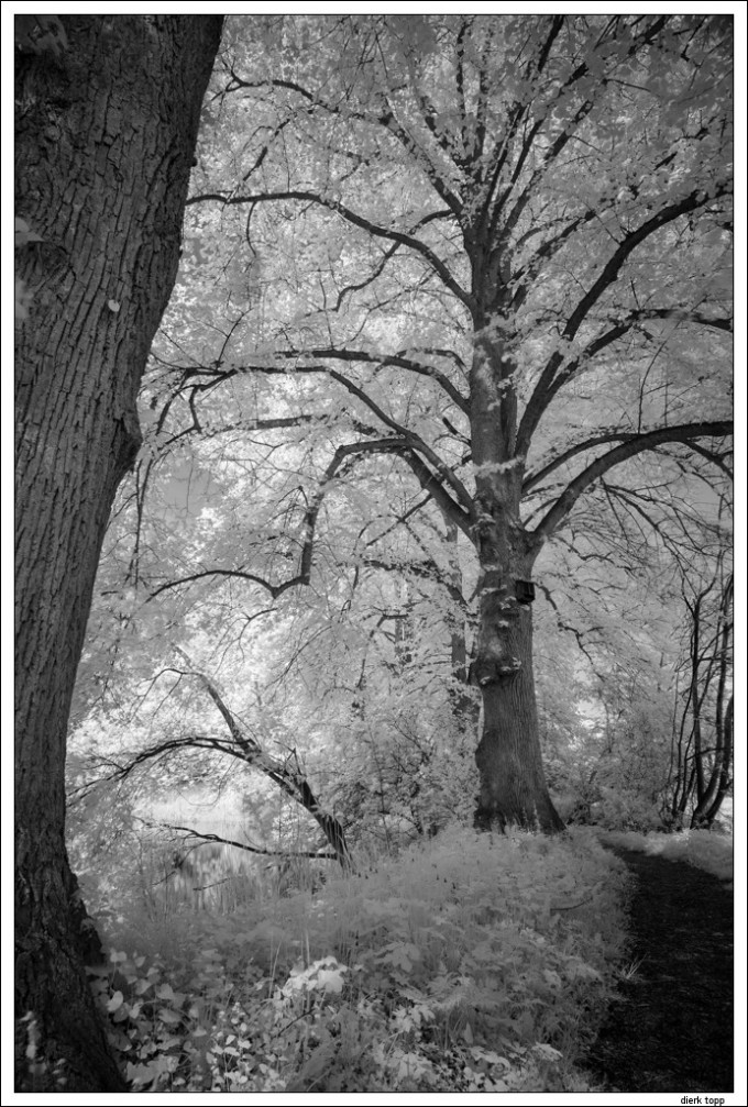 Leica M Monochrom with Super-Elmar-M 21mm/3.4 @ f/9, IR filter R