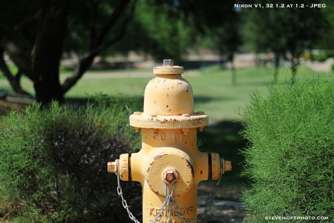 v1hydrant