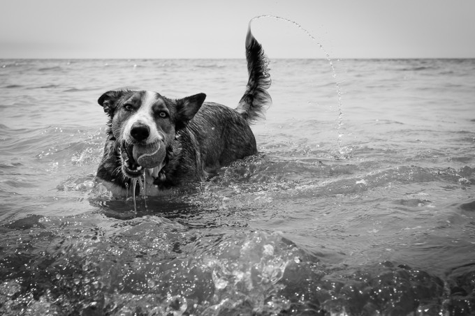 20130627_FujiX100s