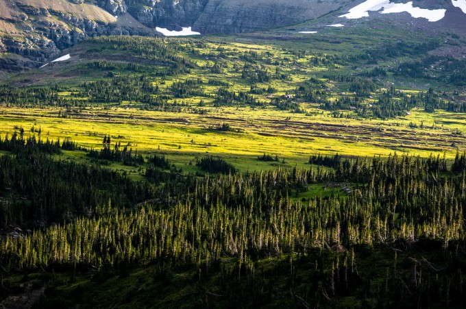 Glacier_National_Park_Leica_S2 (14 of 17)