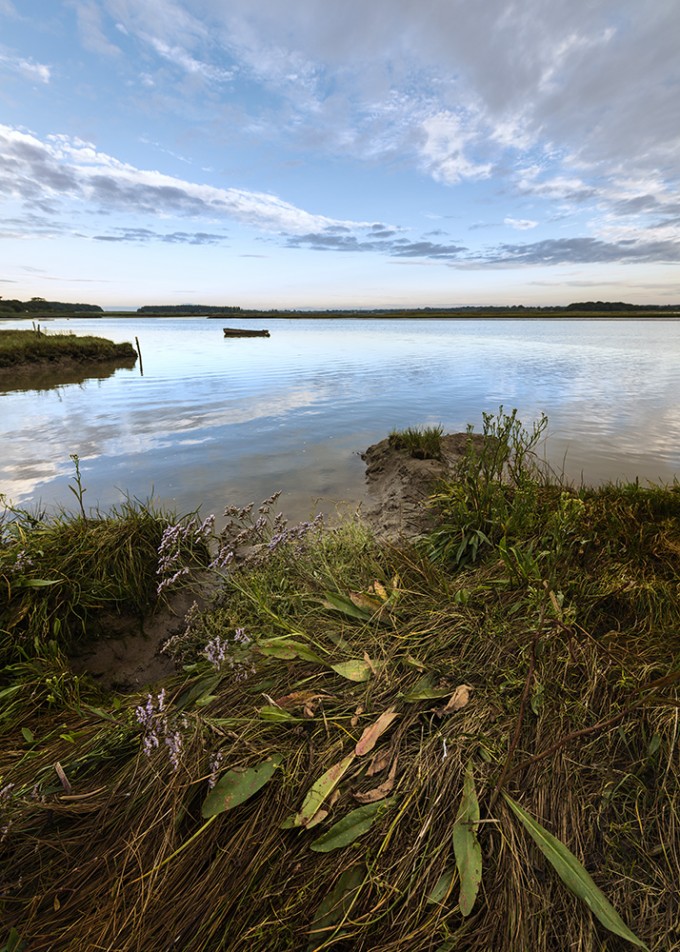 Weeds_and_River_Alde