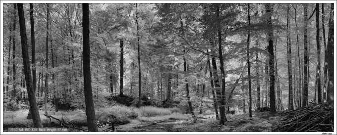 NEX7-IR infrared with Canon 17mm TS-E shifted up