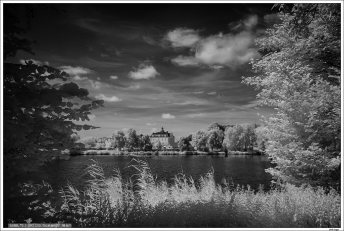 NEX7-IR infrared with E 10-18mm OSS