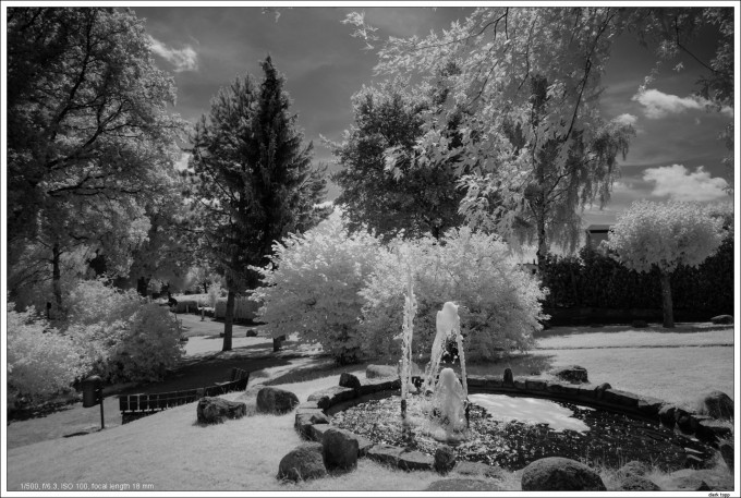 NEX7-IR infrared with E 10-18mm OSS