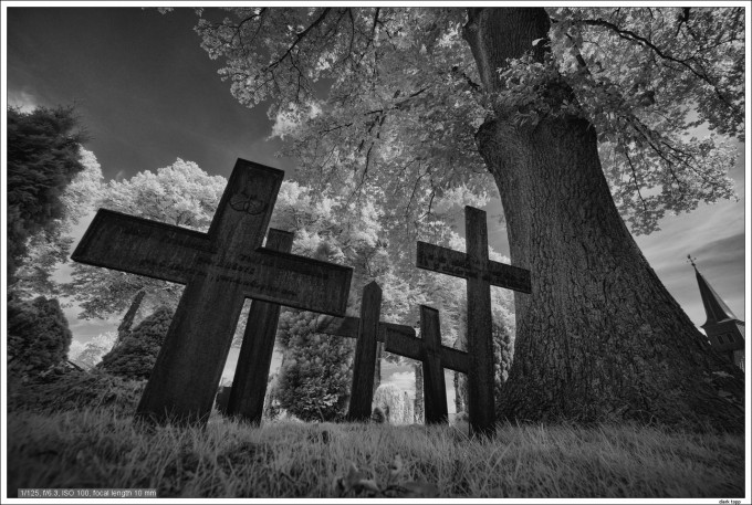 NEX7-IR infrared with E 10-18mm OSS