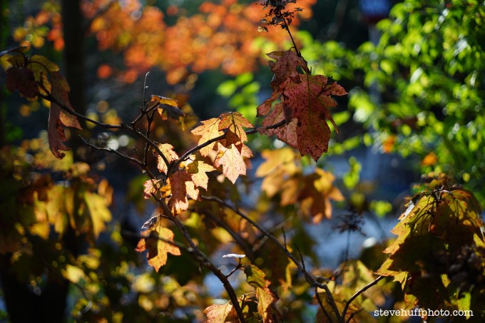 zeiss50f27