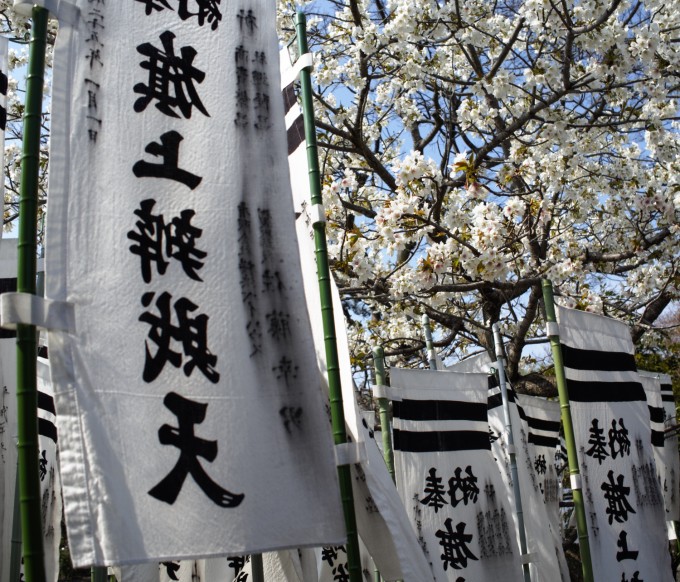 Spring flowers, Kamakura, Japan