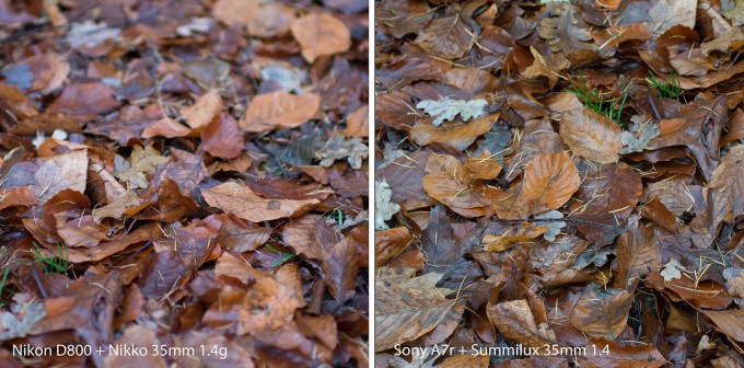 Leaves comparison