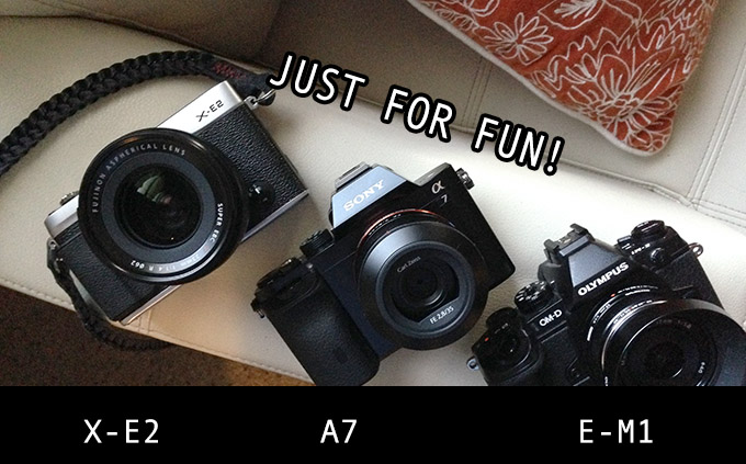 Quick Comparison: Fuji X-E2, Sony A7 and Olympus E-M1 | Steve Huff