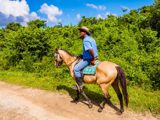 On Horseback