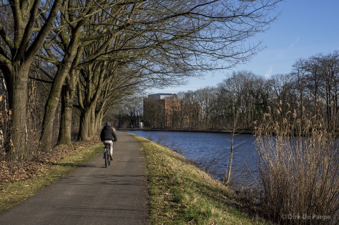 3.Bicyclist under trees