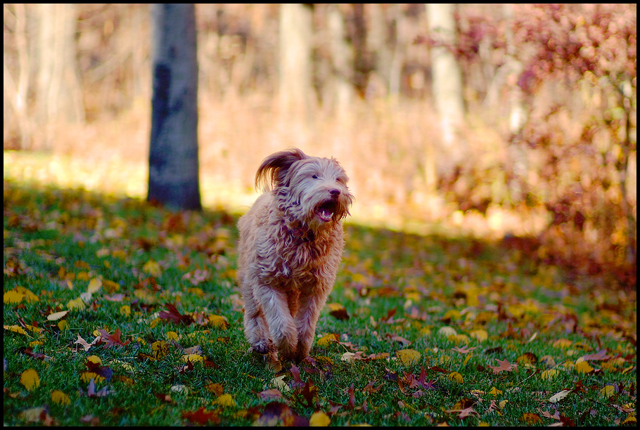 Hoeveelheid van eetlust pantoffel Flashback: The Fuji S5 Pro. Gorgeous color reproduction. | Steve Huff Photo