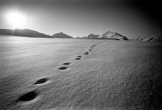 brunkhart_footprints_ak