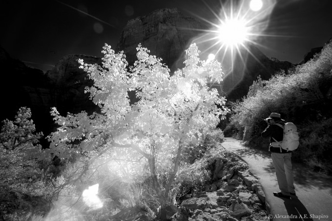 Southwest ir (8 of 9)