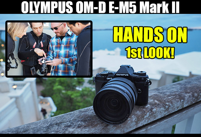 Olympus unveils the OM-D E-M10 Mark IV: We have gallery images, video  samples, First Shots and more!