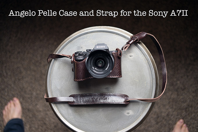 Sony a7ii camera bag discount