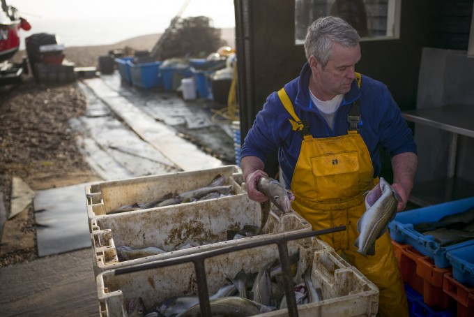 Shot 7 Fisherman Sorting Catch