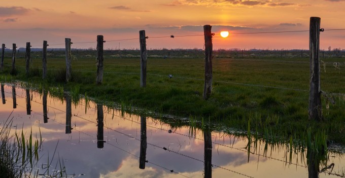 Sunset fence 014