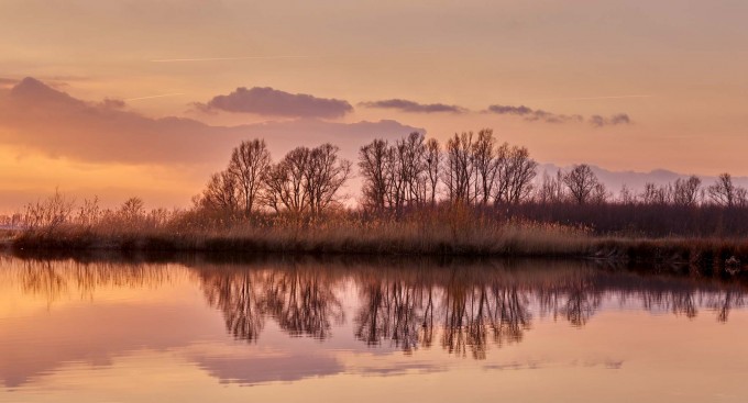 mirrored wetlands