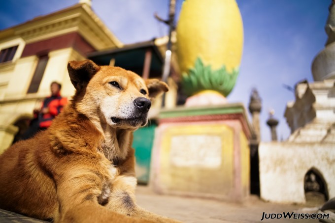 nepal-2015-1008