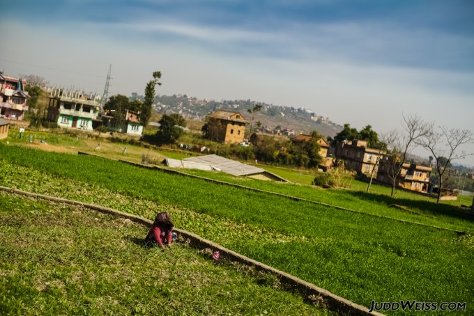 nepal-2015-1033