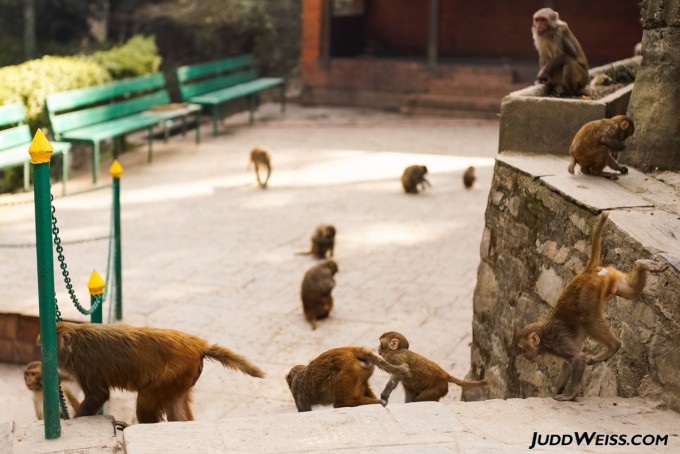 nepal-2015-1048