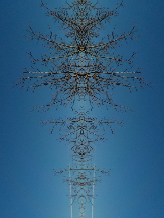 JP1tree