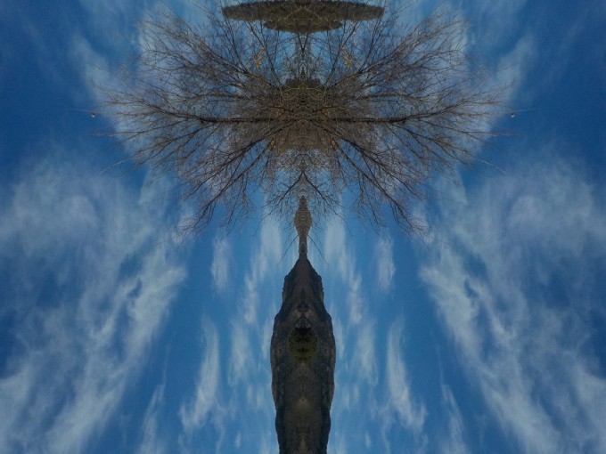JP4tree