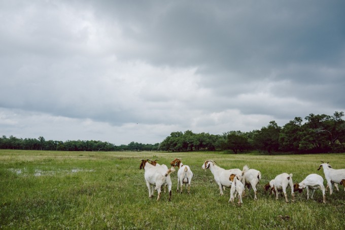 Memorial Day Weekend 2015 Middle Creek Ranch