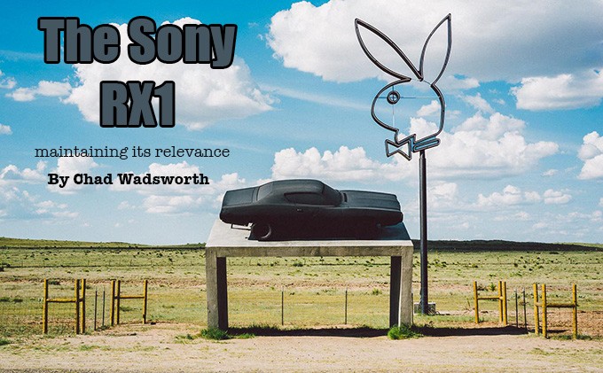 rx1-marfa-bunny-1