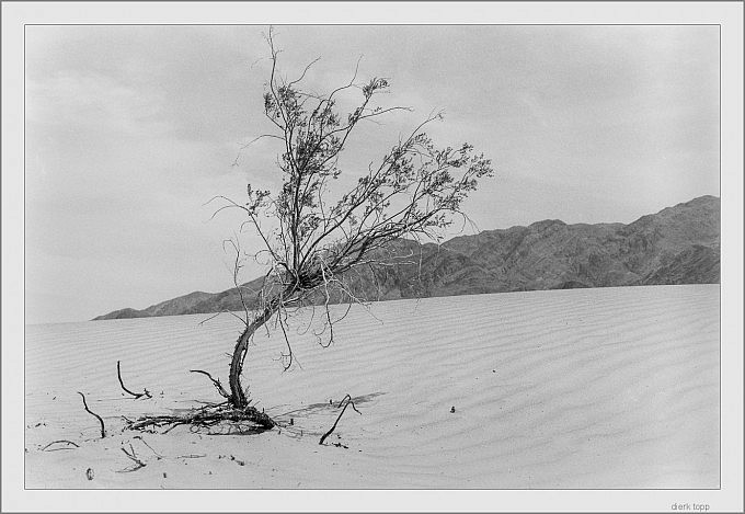 analog: Death Valey 1987, T-Max 100, Nikon FA