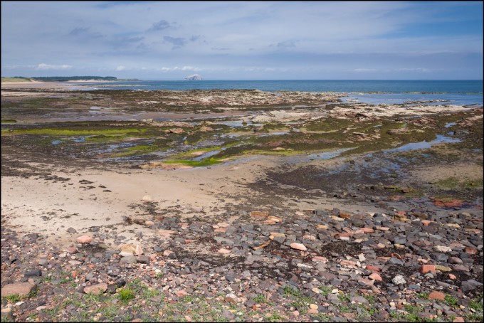 tyninghame july 2015-40-Edit