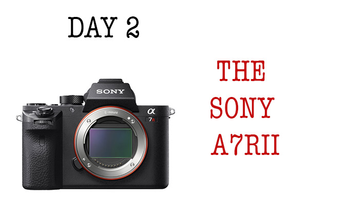 Sony A7rII: Shooting very high ISO and get clean images with