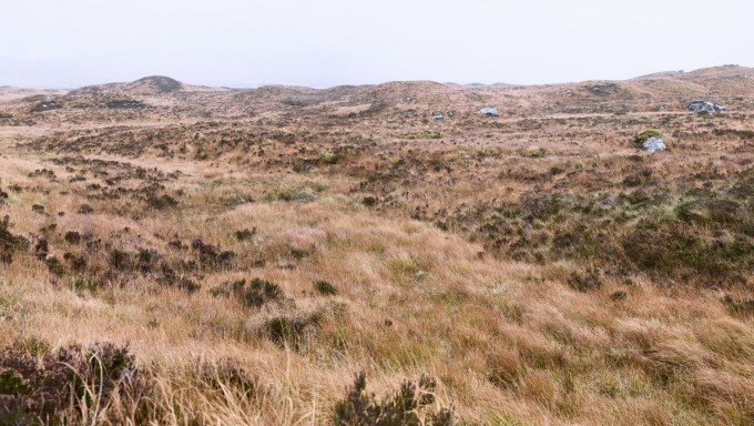 Glen Coe Bog