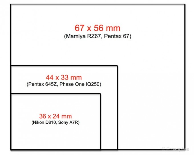 2. Prosophos Mamiya RZ67 (sensor size)